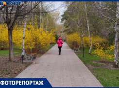 Как цветет Волгоград во время капризов апрельской погоды