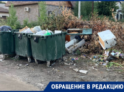 В центре Волгограда снова разрослась позорная свалка