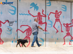 Главную проблему идентичности Волгограда назвал известный журналист 