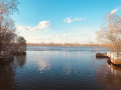 Тело новорожденного обнаружено в реке во Фролово