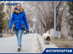 Похожи ли собаки на своих хозяев, выяснил фотограф из Волгограда