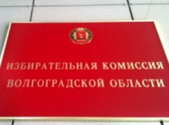 177 кандидатов от Волгоградской области поборются за мандат в Госдуме 