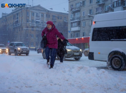Жители Волгограда в опросе потребовали выносить сокращение маршрутов на публичное обсуждение