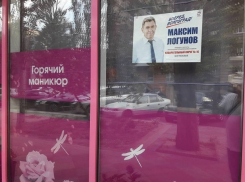 Магазины и торговые сети лоббируют интересы «Единой России», - депутат Волгоградской облдумы