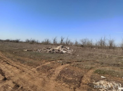 «Лекарства убрали – горы токсичных отходов остались»: волгоградский общественник о свалке за СХИ