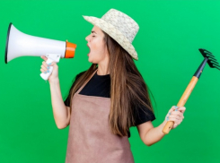 В Волгограде ищут тех, кто не боится контактировать с людьми и овощами