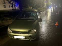 Волгоградские медики спасают в реанимации 6-летнюю, попавшую под машину вместе с мамой и братом