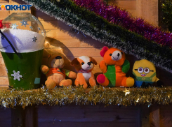 Об опасных сладких новогодних подарках предупредили волгоградцев