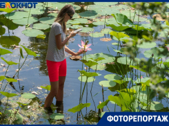 Свезенные автобусами туристы лезут прямо в воду: что творится на уникальном озере лотосов под Волгоградом