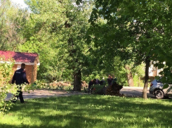 В Волгограде ураган повалил деревья и снес рекламные щиты