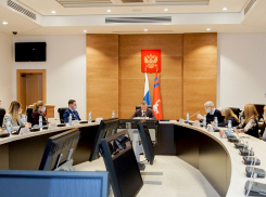Волгоградские депутаты решили развивать туризм с помощью народных промыслов и соцсетей