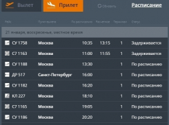 Три рейса «Волгоград-Москва» задерживаются из-за непогоды
