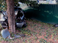 19-летний водитель «Лады» вписался в дерево под Волгоградом и попал в больницу