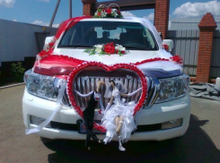 Массовое нежелание жениться демонстрируют волгоградцы