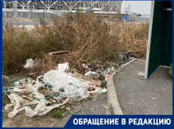 «Волгоград Арена» зарастает мусором 