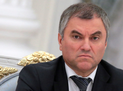 Председатель Госдумы посетит Волгоград 2 февраля