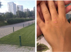 Заборы главного парка Волгограда оказались опасными для людей