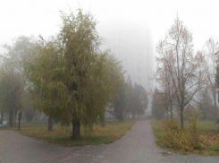 В начале недели тепло вернется в Волгоград