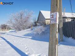 «Осталось много пробелов»: в Волгоградской области продолжается расследование гибели 15-летней Айлиты из Чухонастовки