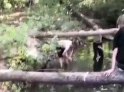 Под Волгоградом детей на сборах в «диких» условиях оставили без душа