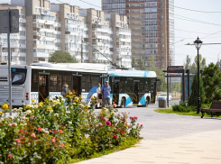 Скважины для полива зелени в парках и скверах начнут бурить в Волгограде