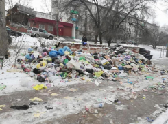 Народ недоволен тем, как вывозят мусор в Волгограде