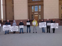 Волгоградские автолюбители вышли на пикет за честное «ОСАГО»