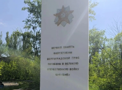 «Две гвоздики на грязном памятнике»: забытый мемориал в День Победы нашли в Волгограде 