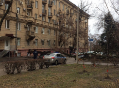 Дерево рухнуло сразу на два автомобиля в центре Волгограда