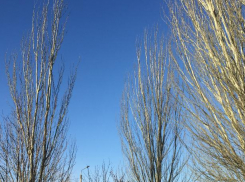 В Волгограде очень холодное утро