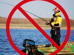 В Волгоградской области в 7 районах запретили охоту и рыбалку