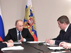 Владимира Путина огорчила версия поджогов при расследовании пожаров в Волгоградской области