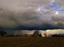 Дожди и грозы ожидают жителей Волгоградской области во вторник