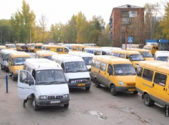 Волгоградское УФАС намерено защитить волгоградские маршрутки в Верховном суде