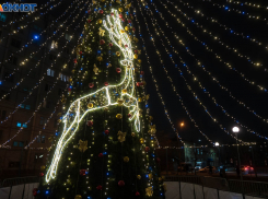 Ждут большие перемены: астролог рассказала, как изменится жизнь волгоградцев в январе 