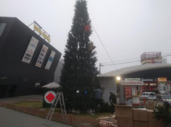 Новогоднее настроение начинает появляться на улицах Волгограда