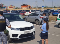 В Волгограде на парковке у «Мармелада» арестовали 18 автомобилей
