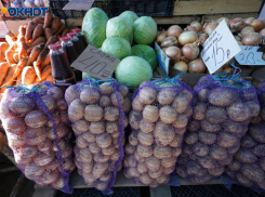 Продукт-рекордсмен по падению в цене назвали в Волгограде 