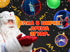 Новогодние чудеса для всей семьи - не пропустите!