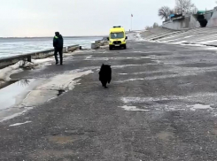 Упавшую с волгоградского моста 17-летнюю перевели из реанимации