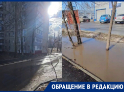 Чопик забили на проблемы с ливневкой в Волгограде 