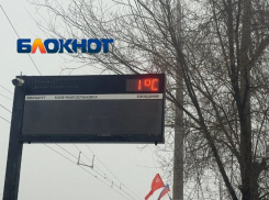 Январь прощается с волгоградцами мартовской погодой