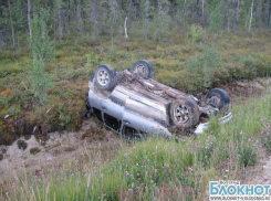 Опрокинувшись в кювет, скончался водитель Урюпинского района