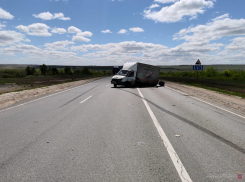 Под Волгоградом мужчина с ребенком пострадали в ДТП с «ГАЗелью»