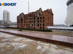 Денег на консервацию обрушившейся в Волгограде мельницы Гергардта попросят у Минкульта