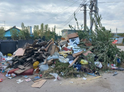 Феномен огромных свалочных куч в частном секторе в Волгограде объяснили специалисты
