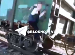 Запрыгивали на вагоны и кричали «Поехал!»: в Волгограде распространяют леденящее душу видео с детьми 
