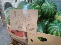 Волгоградские коммунальщики рассказали о самых необычных предметах, найденных в канализации