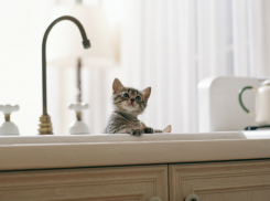 Пять районов Волгограда на выходных останутся без воды