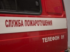 УАЗ Patriot загадочно выгорел дотла в Волгоградской области